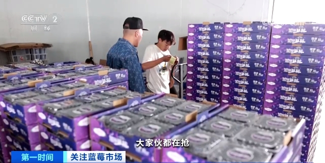 （图源：央视财经）