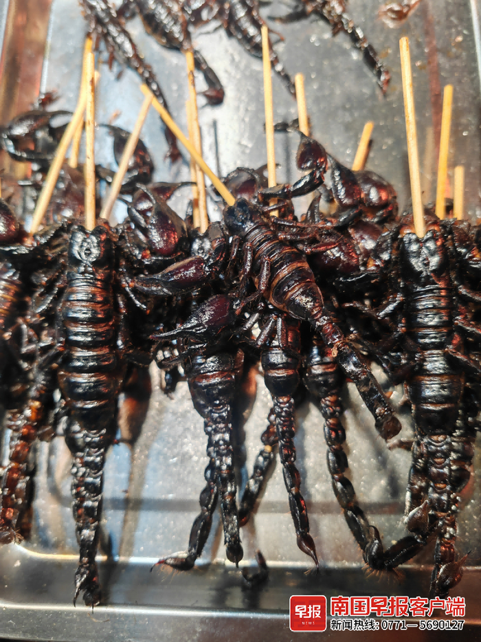 ▲蝎子、蜘蛛、蜈蚣等“毒物”也成了美食。记者 钟亮 摄