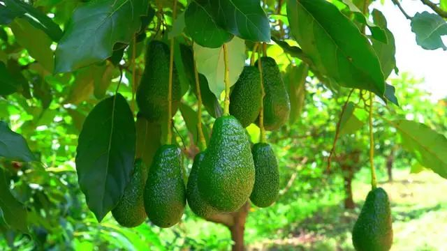 （图源：新华社）