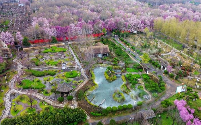 这是3月28日拍摄的位于河南省鄢陵县的一处园林（无人机照片）。新华社发（王永涛摄）