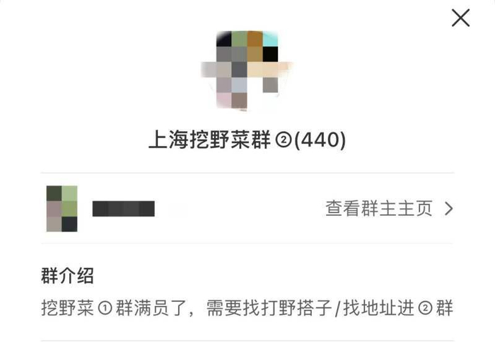 图片来自某社交平台截图