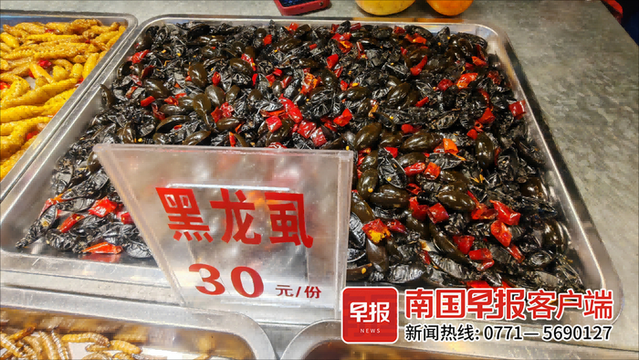 ▲龙虱身价不菲。记者 钟亮 摄