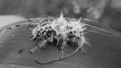 图片来源：James Tweed