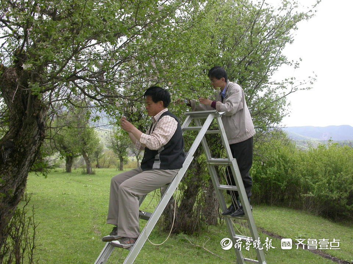 2006年5月，陈学森和博士生冯涛。受访者供图