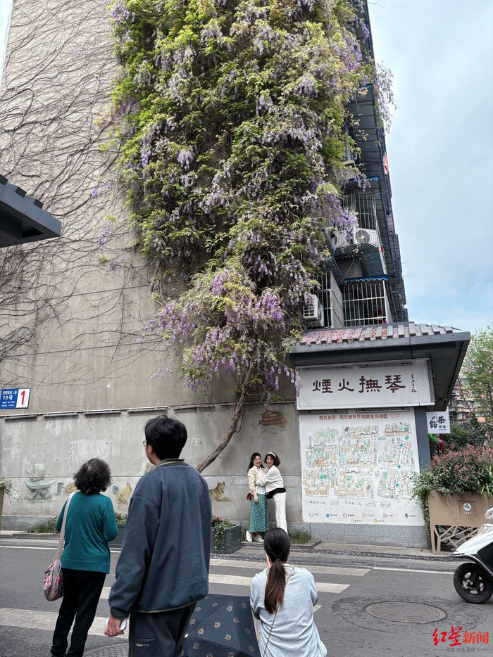 ▲市民前来打卡