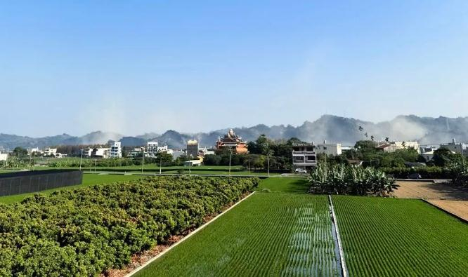 　▲邱世卿Po出一张地震当下九九峰山体部分崩落引发烟尘的照片