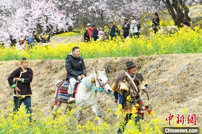 图为在桃花园内，游客体验骑马。贡嘎来松摄