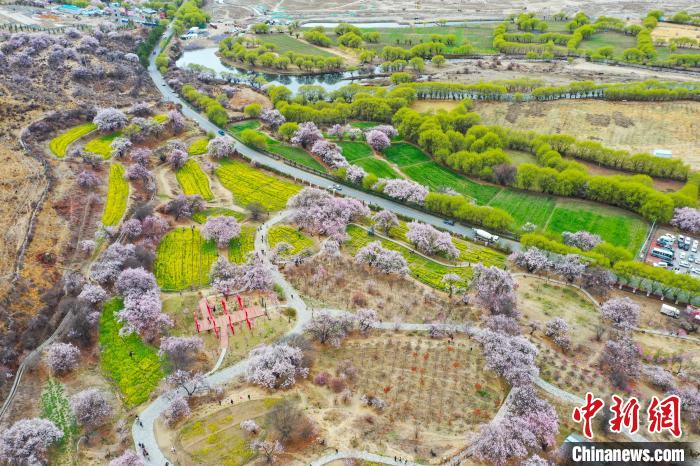 图为航拍嘎拉桃花村。贡嘎来松摄