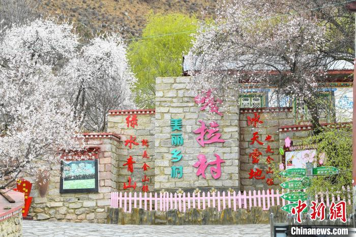 图为嘎拉村。贡嘎来松摄