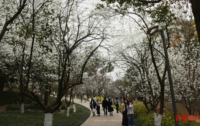图据成都市植物园