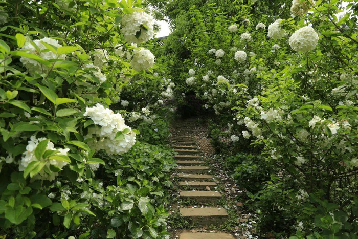 图据成都市植物园