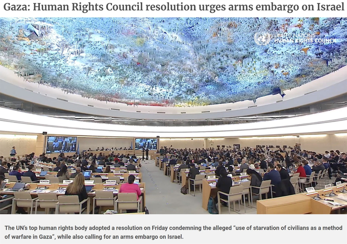 △联合国官网截图