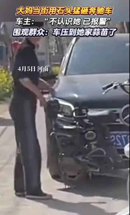 图/网络视频截图