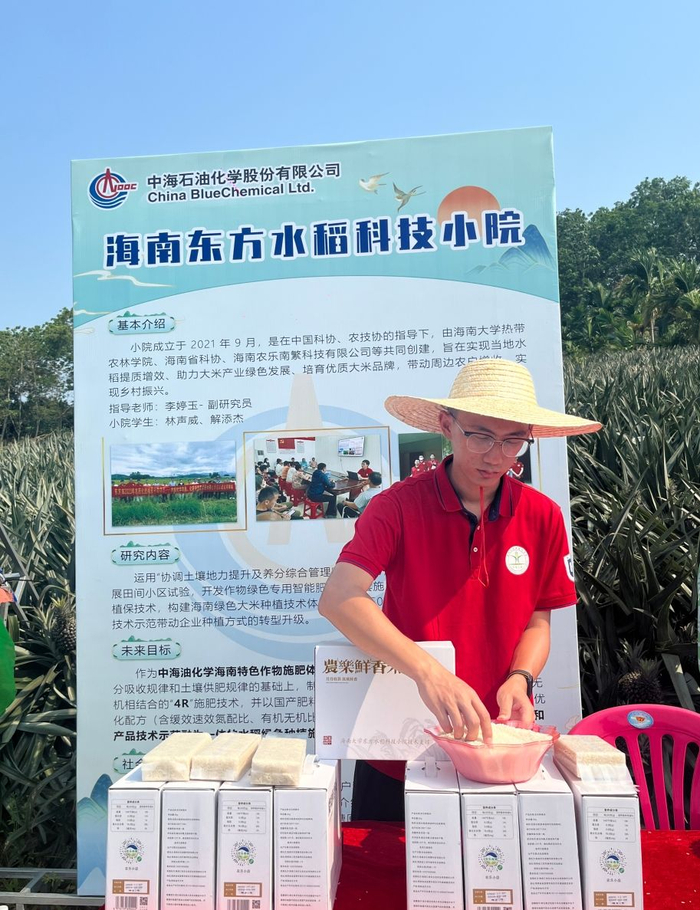 ↑海南大学学生在展示香米。新华社记者 陈子薇 摄