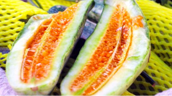 ▲ 新鲜上市的山东羊角蜜 守勤▕摄