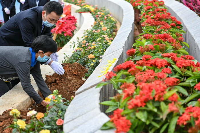 ▲将骨灰撒向海里埋在树下，生态葬受到越来越多市民认可 据视觉中国
