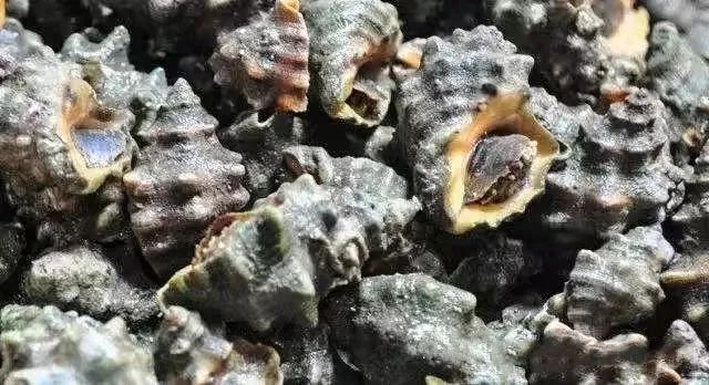 图：东兴市文化广电体育和旅游局