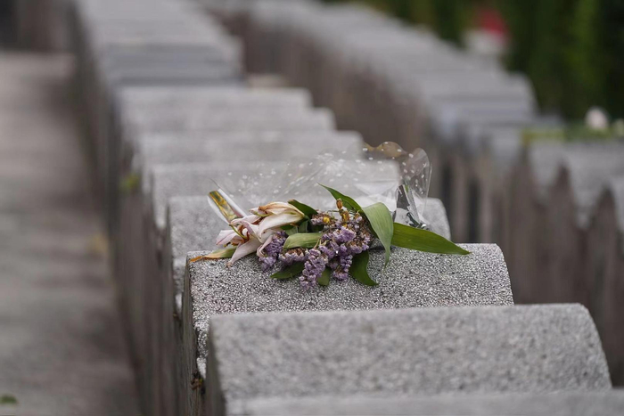 ▲前来祭拜的市民在先人墓碑上留下的鲜花 据视觉中国