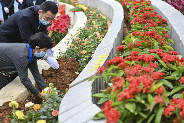 ▲将骨灰撒向海里埋在树下，生态葬受到越来越多市民认可 据视觉中国