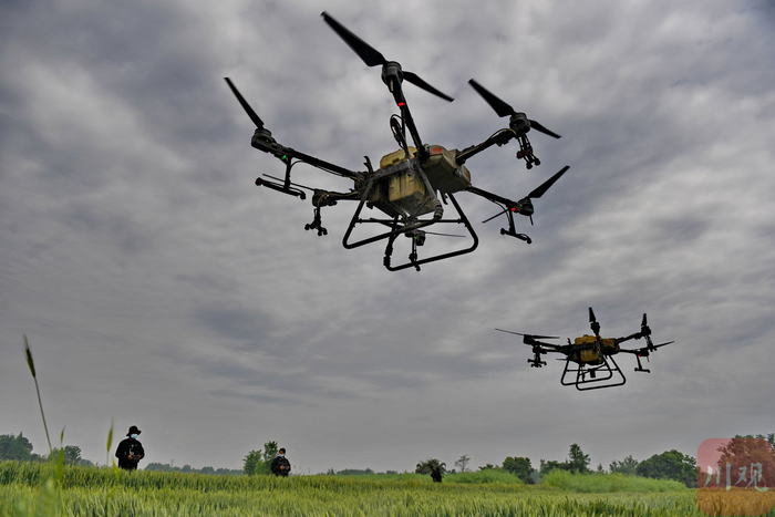 2024年4月8日，成都市大邑县宸希农机专业合作社的工作人员利用植保无人机对万亩小麦进行飞防作业。