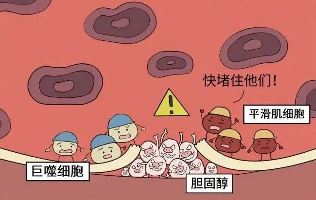 图源：腾讯医典