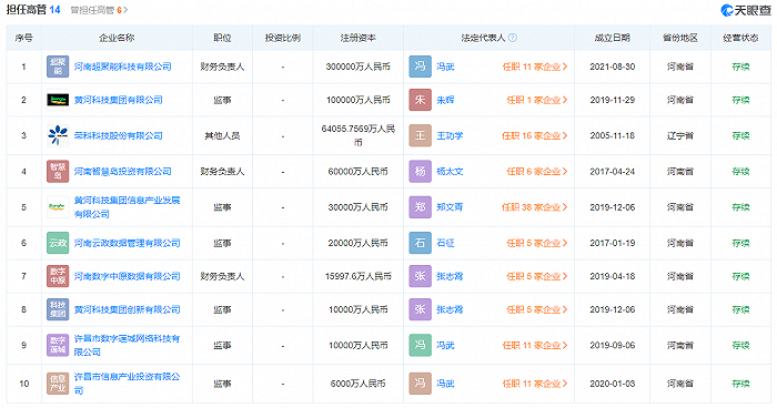 图片：董晓燕任职企业情况