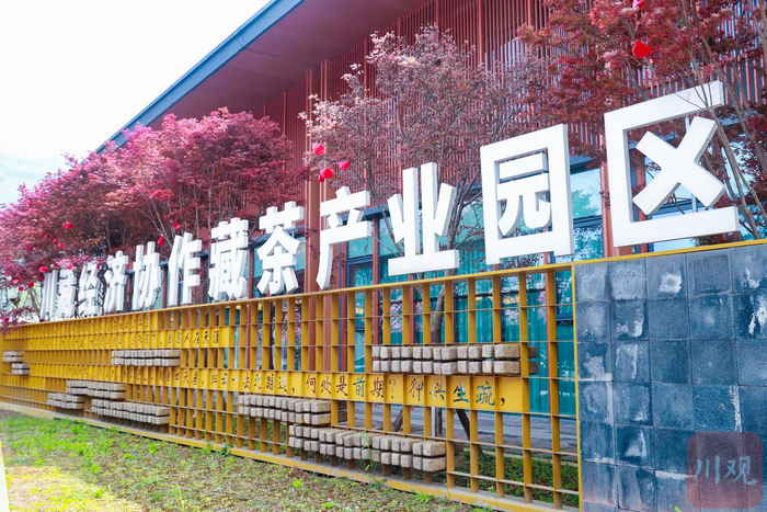 川藏经济协作藏茶产业园区 黄刚 摄