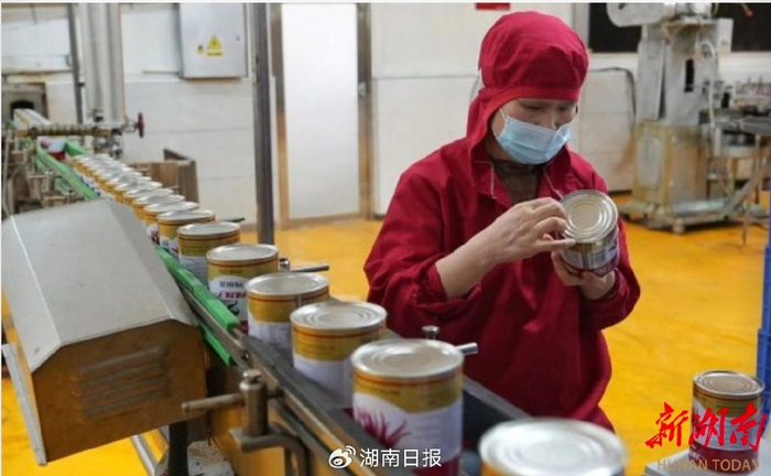 （沅江市辣妹子食品股份有限公司，工作人员在检查罐装辣椒酱生产品质。 湖南日报全媒体记者 傅聪 摄）