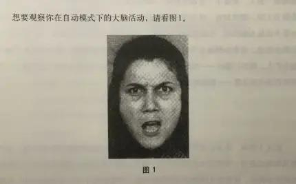 截自《思考快与慢》