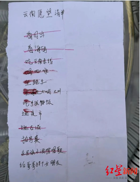 ▲刘怡的愿望清单