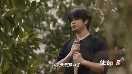 图片来源：北京卫视《生命缘》
