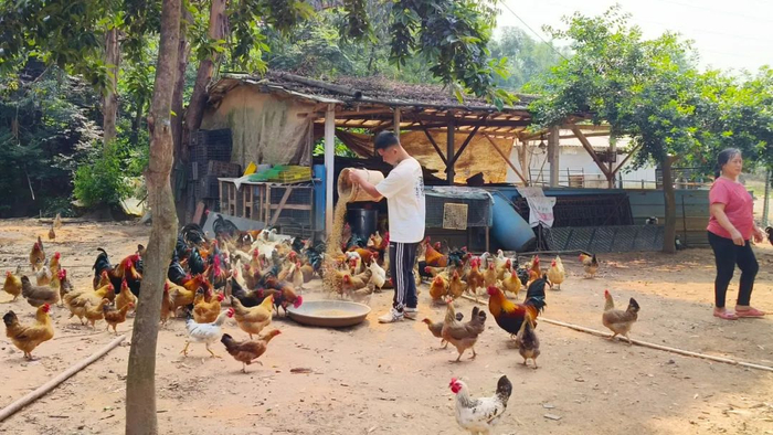 △图源 高要发布