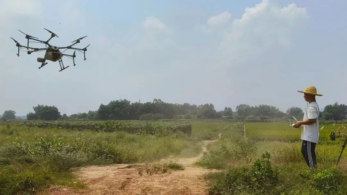 △图源 高要发布