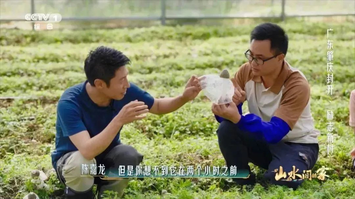 △撒贝宁（左一）频频点赞陈嘉龙（右一）。图源 肇庆青年