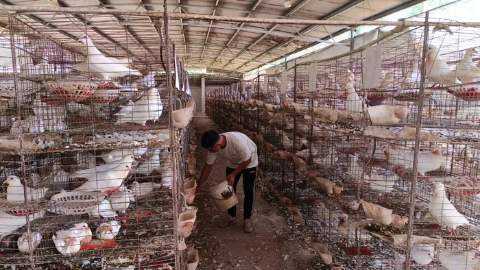 △图源 高要发布