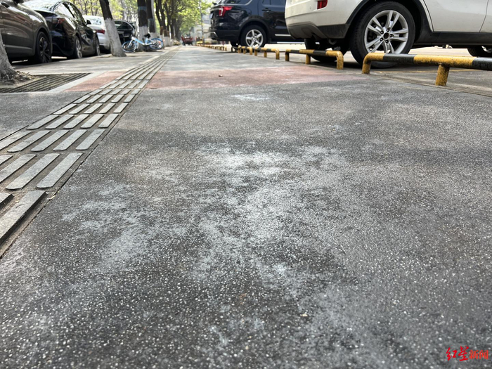 ▲成都市武侯区聚荟街地面上落满了蚜虫排泄物