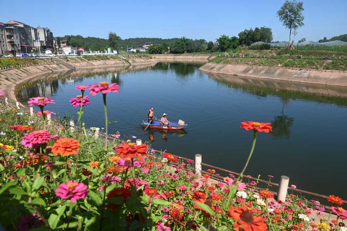 四川省内江市东兴区永福镇东岳社区的志愿者在大清流河打捞漂浮物。黄正华摄