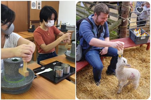 图片来源：Airbnb官网