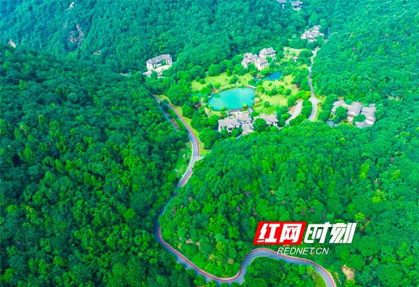 图为桃花岭公园.