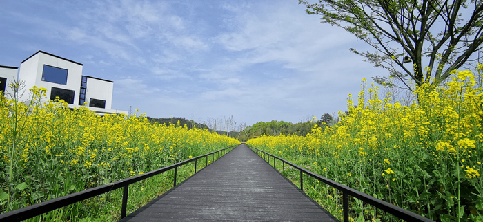 ◎ 漫戈塔·田居里艺术度假村实景图