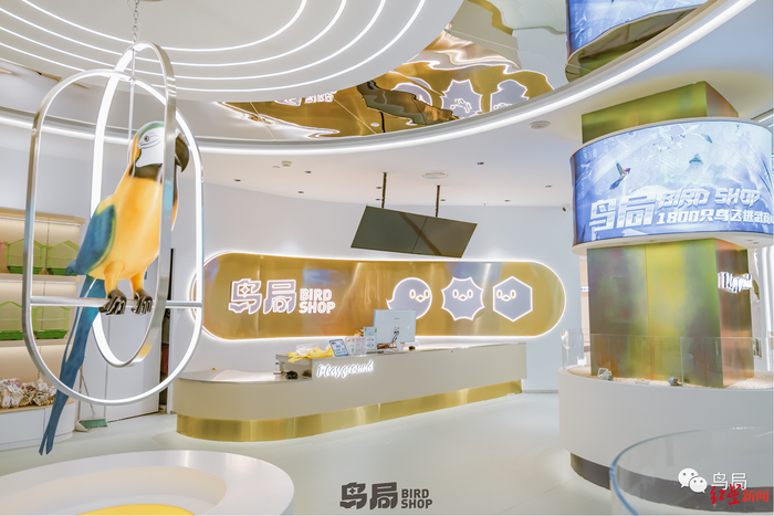 ▲“鸟局”公众号文章插图