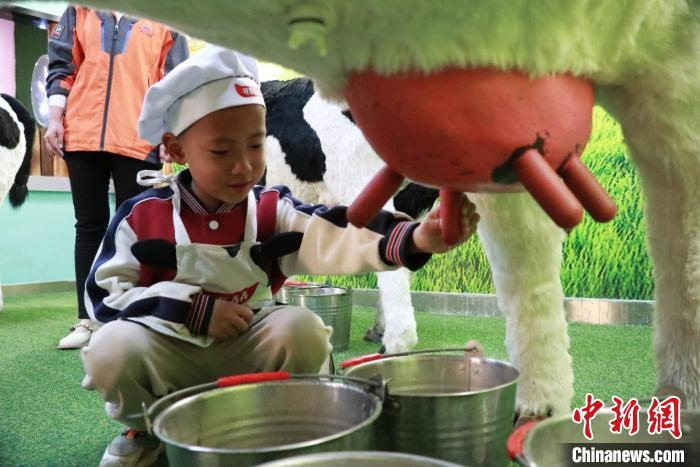 小朋友在泰安市梦想小镇体验挤牛奶。周艺伟 摄