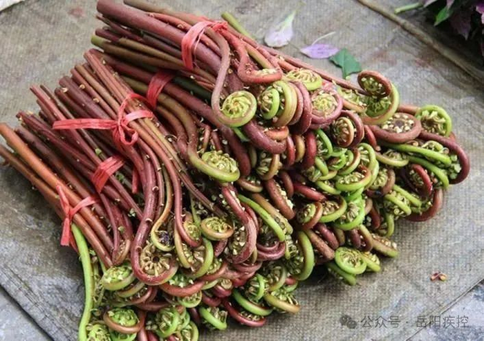 综合湖南疾控 岳阳疾控