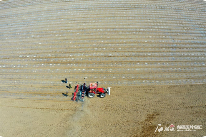 3月28日，精河县大河沿子镇乌什布拉格村，棉花播种机正在播种。赛永杰 摄