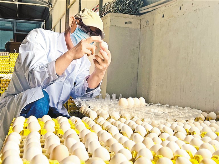 为保障,建立了"净土投资,商贸物流,民生保供"三大主营业务和"产业投资