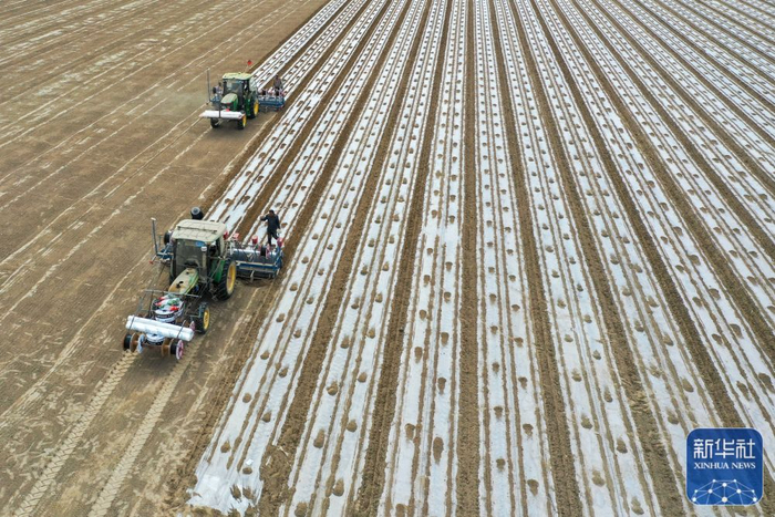 3月27日，在阿克苏地区阿瓦提县高标准农田核心示范区，搭载导航自动驾驶系统的精量播种机在棉田春播。新华社记者 丁磊 摄