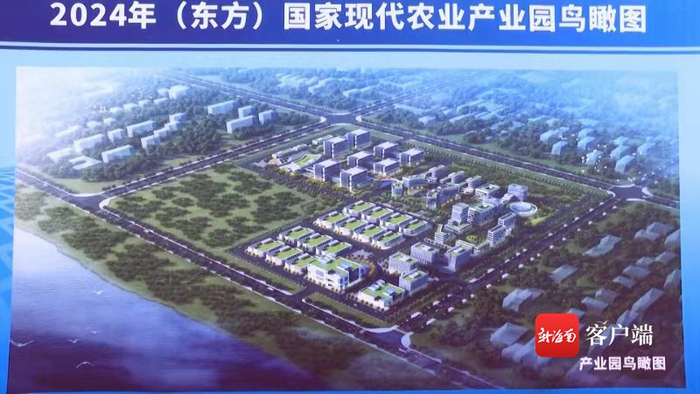 东方国家现代农业产业园鸟瞰图。东方融媒体中心供图