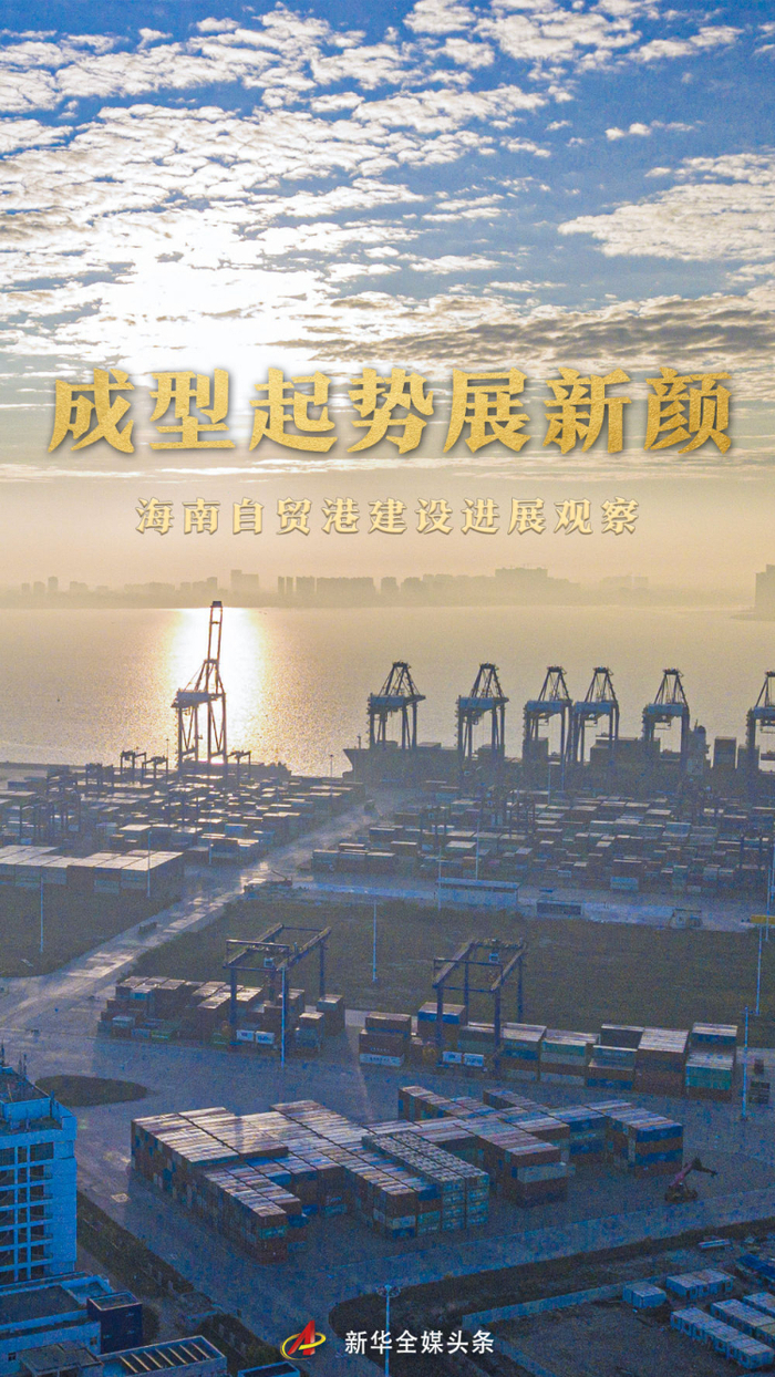 成型起势展新颜——海南自贸港建设进展观察|海南省_新浪新闻