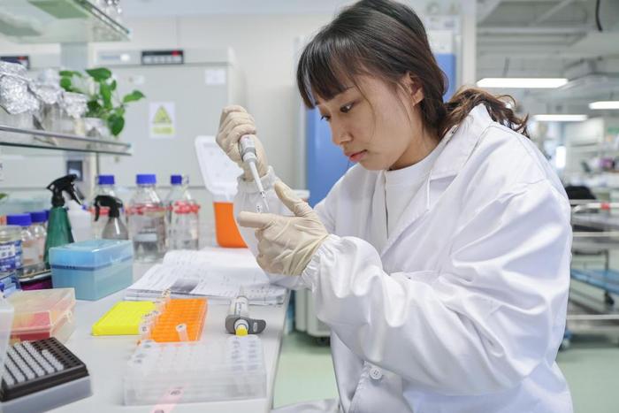 在海南三亚崖州湾科技城，海南省种业实验室的科研人员在做分子育种实验（2023年12月29日摄）。新华社记者 张丽芸 摄
