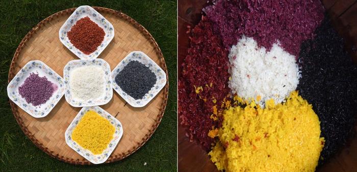   左图：4种不同植物色素染成的糯米和原色糯米；右图：刚刚蒸熟的五色糯米饭（拼版图片）。 新华社记者 陆波岸 摄